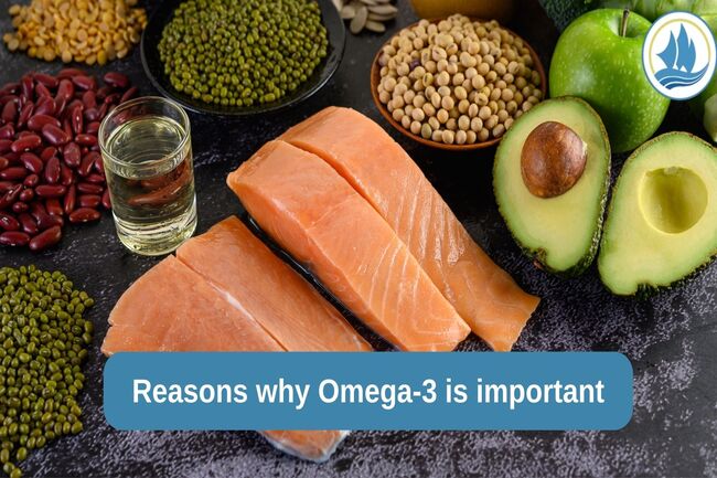 Reasons Why Omega-3 Is Important